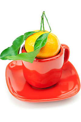 포토 JPG 해외이미지 모양 라이프스타일 식기 음료 음식 줄기 백그라운드 잎 농업 오렌지 과일 재료 자연 디저트 귤 기술 건강 사람없음 컵 빨간색 초록색 흰색 신선 원형 그룹 달콤 먹기 가득함 컵받침 오브젝트 상쾌 유기농 날것 흙더미 내추럴 고립 숙성 채식주의자 해외202004 해외포토 도형 식물 웰빙 감정 산업 컬러 모션 생활 흙 맛 받침대 생태계 채식 파일형식 더미 이미지허브