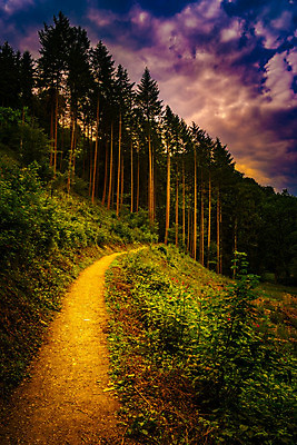 포토 JPG 해외이미지 나무 응시 계절 공원 유럽 도로 길 여행 낙엽 자국 자연 휴가 산 파노라마 풍경 사람없음 야외 초록색 여름 빛 햇빛 태양 환경 일몰 가을 시골 황금 숲 오솔길 언덕 먼지 장면 전나무 루마니아 폴란드 내추럴 방법 절정 해외202004 해외포토 자연요소 식물 시선 공공시설 나라 컬러 잎 교통시설 촬영기법 노을 생태계 파일형식 이미지허브