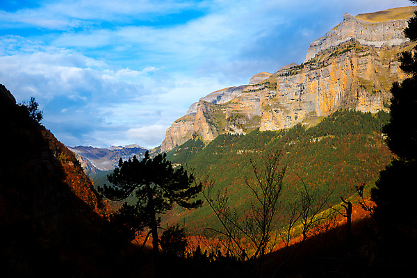 포토 JPG 해외이미지 나무 계절 공원 여행 백그라운드 잎 자연 휴가 산 풍경 사람없음 야외 가로 빨간색 초록색 컬러풀 햇빛 환경 계곡 가을 바위 신선 스페인 숲 생태계 아라곤 마요네즈 전국 절정 해외202004 해외포토 식물 공공시설 유럽 컬러 태양 돌_바위 소스_음식 파일형식 이미지허브