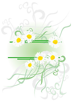 포토 JPG 해외이미지 식물 디자인 배너 꽃잎 꽃 리본 백그라운드 잎 꽃무늬 패턴 밭 일러스트 자연 벽지 추상 휴가 프레임 미술 풍경 사람없음 장식 초록색 여름 정원 봄 공백 벚꽃 흰색 나뭇가지 인사 신용카드 모서리 다발 심볼 오브젝트 그림 에코 유기농 데이지 초대 내추럴 생태학 엘리먼트 캐모마일 해외202004 해외포토 나무 웰빙 계절 교육 컬러 무늬 농업 문화예술 금융 환경 예절 허브 생태계 파일형식 이미지허브