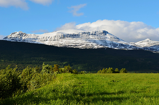 포토 JPG 해외이미지 나무 구름 유럽 백그라운드 자연 하늘 산 파노라마 노르웨이 풍경 사람없음 야외 초록색 여름 파란색 햇빛 침묵 활발 원형 황무지 숲 북극 언덕 그림 2014년 북쪽 내추럴 북극해 웅장함 절정 해외202004 해외포토 자연요소 도형 식물 계절 나라 바다 컬러 컨셉 촬영기법 태양 소리 연도 극지방 방향 생태계 파일형식 이미지허브