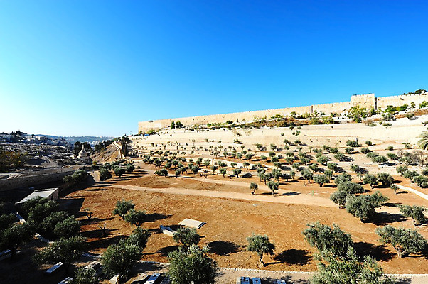 포토 JPG 해외이미지 나무 전통 기독교 종교 문화 벽 여행 건축양식 하늘 벽돌 산 사람없음 파란색 교회 믿음 탑 계곡 성경 바위 도시 사찰 예수 역사 이슬람교 묘사 올리브 모스크 신성 기념물 유대인 장례 신앙심 예루살렘 옛날 유태교 이스라엘 장례식 팔레스타인 해외202004 해외포토 식물 건축물 열매 건축 감정 컬러 중동 종교용품 종교건축 건물 돌_바위 신_종교 서아시아 파일형식 이미지허브