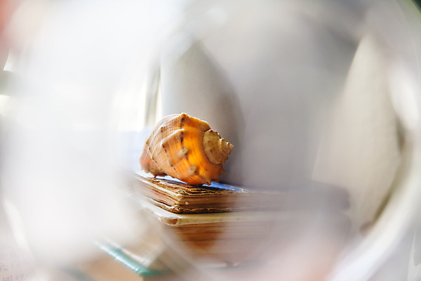 포토 JPG 해외이미지 디자인 교육 종이 백그라운드 컨셉 추상 휴가 조개 휴식 창조 미술 사람없음 야외 목재 장식 책 초록색 물 빛 태양 갈색 쪽지 성경 공백 정보 수확 흰색 오픈 거친 역사 우아함 도서관 질감 문서 복고 보케 심플 문학 페이지 흙더미 고립 구성 그런지 블러 엘리먼트 원고 해외202004 해외포토 자연요소 나무 컬러 무늬 농업 재료 종교용품 문화예술 어패류 흙 파일형식 더미 이미지허브