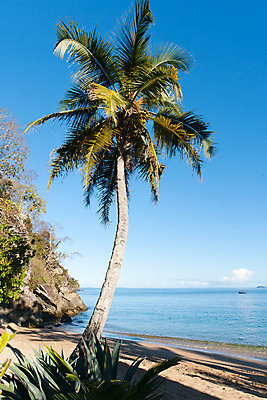 포토 JPG 해외이미지 나무 모래 바다 섬 여행 아프리카 자연 하늘 휴가 휴식 손바닥 풍경 사람없음 야외 초록색 물 여름 파란색 햇빛 태양 고요 꿈 만 뜨거움 코코넛 석호 마다가스카르 이국적 파라다이스 수평선 해외202004 해외포토 자연요소 식물 손 계절 나라 컬러 컨셉 과일 생태계 파일형식 이미지허브