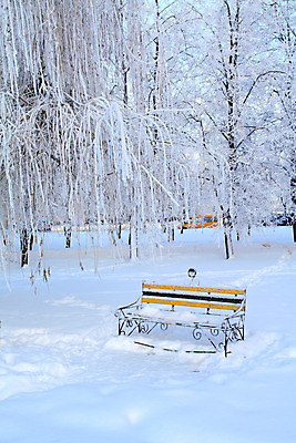 포토 JPG 해외이미지 나무 계절 도로 길 신발 겨울 벤치 자연 탁자 날씨 스키 거리 풍경 사람없음 장식 가로 빛 보라색 검은색 침묵 회색 추위 흰색 나뭇가지 도시 고독 매끈함 숲 인쇄 발자국 오솔길 싱글 타이어 장면 눈보라 깊이 수평선 해외202004 해외포토 식물 감정 컬러 가구 의자 교통시설 자국 겨울스포츠 눈_날씨 소리 감각 생태계 파일형식 이미지허브