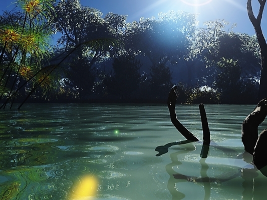 포토 JPG 해외이미지 나무 식물 계절 호수 일러스트 자연 풍경 사람없음 물 여름 태양 저수지 연못 그림 탱크 해외202004 해외포토 자연요소 생태계 파일형식 이미지허브