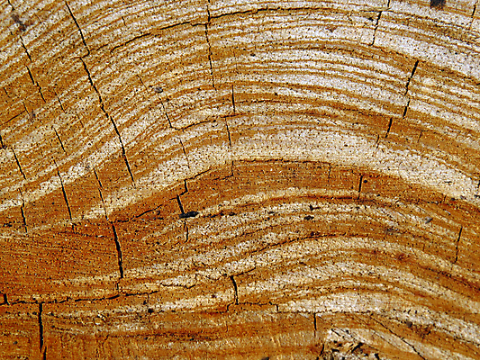 포토 JPG 해외이미지 디자인 백그라운드 패턴 곡선 사람없음 목재 균열 질감 굴곡 해외202004 해외포토 나무 선 무늬 재료 모션 파일형식 이미지허브