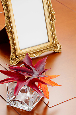 포토 JPG 해외이미지 계절 컨셉 단풍 잎 꽃무늬 자연 바람 날씨 아이디어 프레임 건조 미술 사람없음 장식 빨간색 세로 갈색 노란색 우주 어둠 침묵 골동품 가을 화려 그룹 정사각형 추수감사절 멀티 옛날 해외202004 해외포토 자연요소 도형 식물 꽃 기독교 컬러 무늬 문화예술 소리 생태계 파일형식 이미지허브