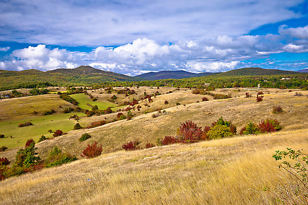 포토 JPG 해외이미지 나무 식물 구름 도로 밭 오렌지 자연 하늘 산 파노라마 풍경 사람없음 야외 초록색 여름 파란색 노란색 평화 환경 가을 바위 시골 황무지 땅 언덕 장면 지역 크로아티아 스텝 절정 해외202004 해외포토 자연요소 계절 유럽 길 컬러 컨셉 농업 과일 교통시설 촬영기법 돌_바위 생태계 파일형식 이미지허브