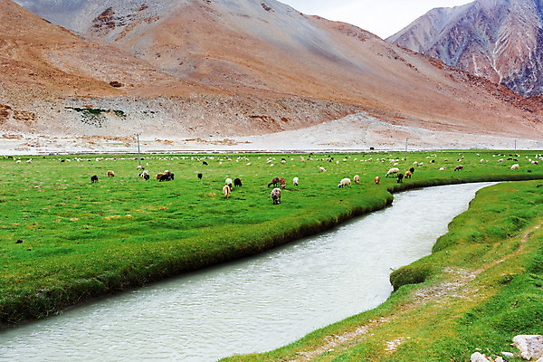 포토 JPG 해외이미지 동물 아시아 여행 밭 자연 하늘 산 풍경 사람없음 물 관광지 강 바위 개울 내추럴 해외202004 해외포토 자연요소 나라 농업 돌_바위 생태계 파일형식 이미지허브