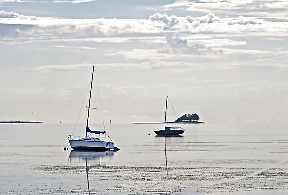 포토 JPG 해외이미지 구름 모래 북아메리카 요트 하늘 항해 풍경 사람없음 야외 물 여름 미국 보트 해조류 썰물 버리기 함선 흐림 대각선 돛대 수평선 플로리다 해외202004 해외포토 자연요소 계절 선 바다 배_교통 모션 날씨 아메리카 해양식물 파일형식 이미지허브