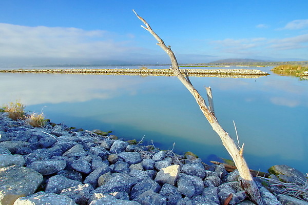 포토 JPG 해외이미지 나무 구름 계절 공원 유럽 호수 야생동물 백그라운드 자연 하늘 날씨 풍경 사람없음 야외 물 파란색 강 햇빛 노란색 평화 맑음 회색 가을 바위 시골 죽음 연못 고독 스위스 그림 장면 수평선 해외202004 해외포토 자연요소 식물 동물 공공시설 감정 나라 컬러 컨셉 태양 돌_바위 생태계 파일형식 이미지허브