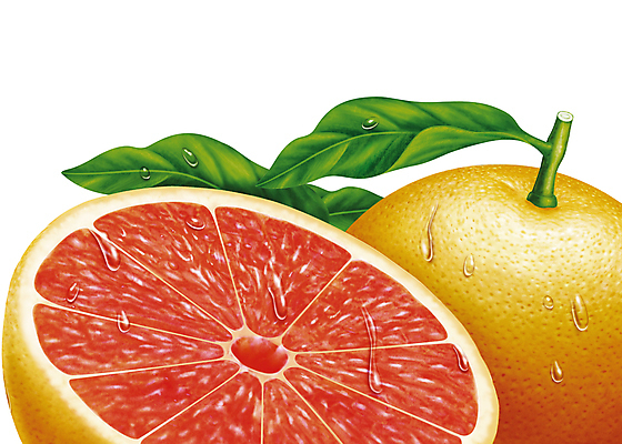 포토 JPG 해외이미지 식물 리플렛 잎 오렌지 일러스트 자연 딸기 건강 경사 사람없음 빨간색 초록색 빛 노란색 주스 수확 물방울 신선 칼날 횡단보도 닫기 결과 레몬 건강식 내추럴 고립 광 사실 진실 해외202004 해외포토 음료 음식 컬러 컨셉 농업 과일 모션 보행로 생태계 파일형식 이미지허브