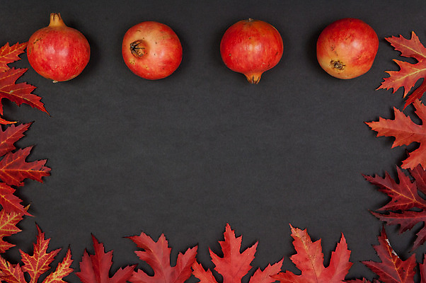 포토 JPG 해외이미지 계절 백그라운드 단풍 잎 패턴 오렌지 프레임 사람없음 장식 빨간색 컬러풀 공백 할로윈 회색 수확 가을 11월 배열 질감 석류 추수감사절 10월 해외202004 해외포토 식물 기독교 컬러 무늬 농업 과일 날짜 파일형식 이미지허브