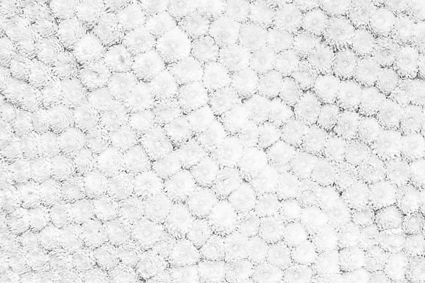 포토 JPG 해외이미지 식물 꽃잎 꽃 꽃다발 결혼 백그라운드 꽃무늬 패턴 자연 사람없음 장식 검은색 봄 벚꽃 흰색 개화 플랫 질감 해외202004 해외포토 계절 컬러 무늬 이벤트 생태계 파일형식 이미지허브