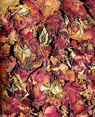 포토 JPG 해외이미지 꽃잎 분홍색 건조 사람없음 장미 해외202004 해외포토 꽃 컬러 파일형식 이미지허브