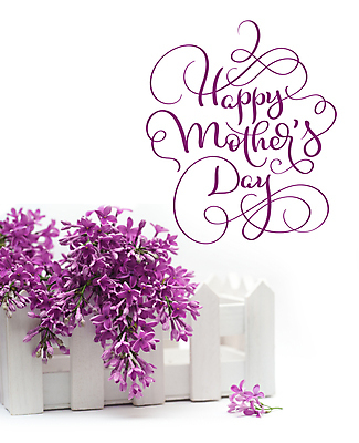 포토 JPG 해외이미지 백그라운드 캘리그라피 사람없음 라일락 어머니의날 해외202004 해외포토 기념일 꽃 미국문화 파일형식 이미지허브