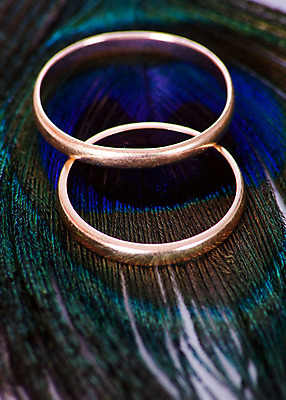 포토 JPG 해외이미지 동물 디자인 결혼 백그라운드 패턴 자연 조류 추상 사람없음 장식 초록색 파란색 빛 황금 우아함 닫기 공작 깃털 묘사 질감 날카로움 솜털 내추럴 강렬 이국적 제안 터키석 해외202004 해외포토 컬러 컨셉 무늬 모션 이벤트 보석 생태계 파일형식 이미지허브