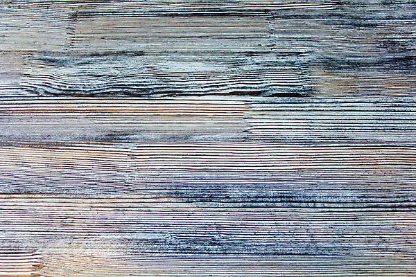 포토 JPG 해외이미지 나무 벽 줄기 백그라운드 표면 사람없음 목재 쌓기 숲 질감 해외202004 해외포토 식물 재료 모션 파일형식 이미지허브