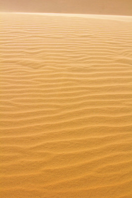 포토 JPG 해외이미지 모래 파도 여행 백그라운드 자연 휴가 사람없음 빨간색 사막 모래언덕 베트남 내추럴 해외202004 해외포토 바다 컬러 동남아시아 언덕 생태계 파일형식 이미지허브