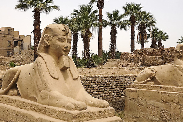 포토 JPG 해외이미지 종교 모래 여행 건축양식 하늘 파노라마 이집트 풍경 사람없음 세계 태양 조각상 노란색 사막 수확 바위 무덤 아내 사찰 역사 기자 사자 큼 왕 묘사 피라미드 먼지 스핑크스 장례 복잡 석회암 카이로 파라오 화강암 해외202004 해외포토 자연요소 직업 건축물 건축 컬러 컨셉 농업 포유류 종교건축 아프리카 촬영기법 조형물 암석 돌_바위 크기 랜드마크 파일형식 이미지허브