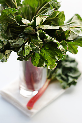 포토 JPG 해외이미지 식물 음료 음식 백그라운드 잎 농업 다이어트 채소 과일 재료 자연 유리 디저트 건강 요리 사람없음 빨간색 초록색 컬러풀 쌓기 식사 주스 활발 흰색 신선 막대기 시장 달콤 상품 다발 먹기 유기농 날것 슛 내추럴 고립 숙성 채식주의자 해외202004 해외포토 웰빙 산업 컬러 컨셉 모션 재질 맛 생태계 채식 파일형식 이미지허브