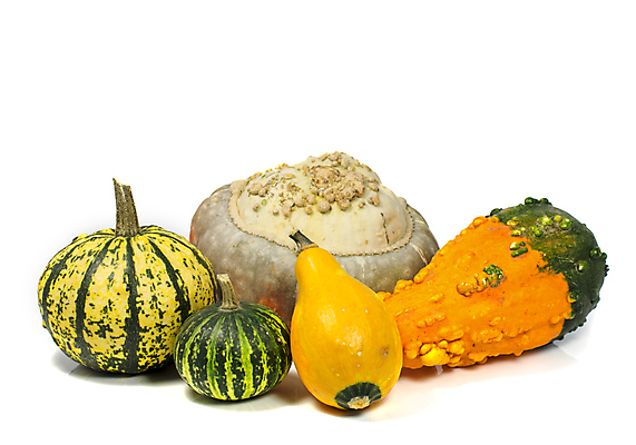 포토 JPG 해외이미지 음식 농업 채소 과일 호박 사람없음 장식 빨간색 초록색 여름 수확 가을 정상 도토리 박 스쿼시 해외202004 해외포토 계절 산업 스포츠 컬러 구기 견과류 파일형식 이미지허브