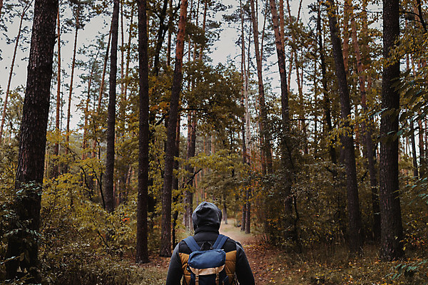 포토 JPG 해외이미지 응시 여자 남자 행복 스포츠 여행 잎 오렌지 자국 휴식 한명 서기 사람 걷기 산책 트래킹 재킷 기쁨 꿈 캠핑 하이킹 자유 탐험 안개 가을 모험가 배낭여행 열광 발견 대패 삼림지대 하이커 혼자 해외202004 해외포토 식물 1 시선 계절 감정 컨셉 과일 모션 레저 날씨 외투 숲 파일형식 이미지허브