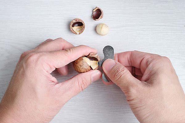 포토 JPG 해외이미지 음식 백그라운드 과일 재료 건강 관리 씨앗 사람없음 목재 갈색 견과류 껍질 흰색 그룹 사발 균열 유기농 내추럴 고립 깨짐 단백질 해외202004 해외포토 나무 식물 웰빙 컬러 컨셉 모션 사기그릇 영양소 파일형식 이미지허브