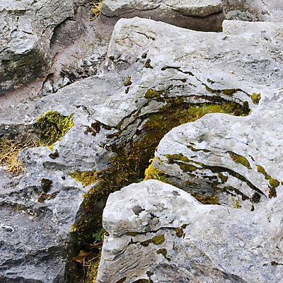 포토 JPG 해외이미지 자연 날씨 이끼 사람없음 야외 바위 균열 묘사 부식 아일랜드 내추럴 벌거벗은 석회암 해외202004 해외포토 유럽 모션 암석 돌_바위 생태계 파일형식 이미지허브