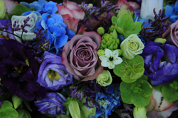 포토 JPG 해외이미지 식물 꽃잎 꽃 꽃다발 결혼 백그라운드 자연 결혼식 사랑 사람없음 장식 초록색 파란색 장미 보라색 그룹 배열 수국 해외202004 해외포토 감정 컬러 이벤트 생태계 파일형식 이미지허브