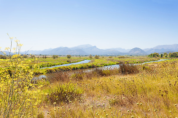 포토 JPG 해외이미지 식물 꽃 유럽 호수 야생동물 여행 밭 자연 하늘 휴가 산 갈대 풍경 사람없음 여름 빛 강 햇빛 맑음 봄 하이킹 벚꽃 개화 황무지 스페인 언덕 빛망울 수평선 해외202004 해외포토 동물 계절 나라 농업 레저 날씨 태양 생태계 파일형식 이미지허브