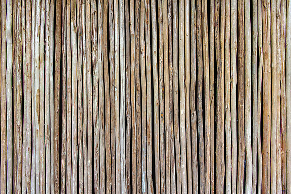 포토 JPG 해외이미지 나무 접시 디자인 벽 백그라운드 패턴 자연 표면 날씨 바닥 주택 프레임 사람없음 건물 목재 장식 갈색 줄무늬 수확 기둥 판넬 원형 거친 널 낟알 대나무 질감 복고 목공예 결 내추럴 수목 옛날 파케트 해외202004 해외포토 도형 식물 식기 건축물 건축 컬러 무늬 농업 재료 공예 생태계 파일형식 이미지허브