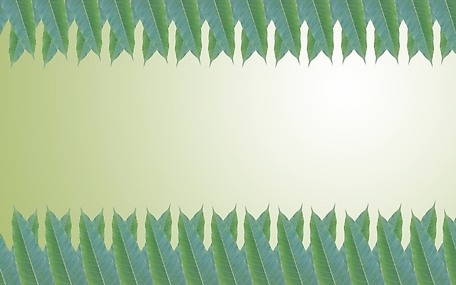 포토 JPG 해외이미지 식물 디자인 꽃 벽 줄기 백그라운드 잎 자연 프레임 미술 경사 사람없음 장식 초록색 정원 봄 성장 흰색 나뭇가지 신선 덩굴 묘사 오브젝트 원예 포도나무 아이비 내추럴 옛날 그리너리 해외202004 해외포토 나무 계절 컬러 문화예술 취미 과일나무 생태계 파일형식 트랜드컬러 이미지허브