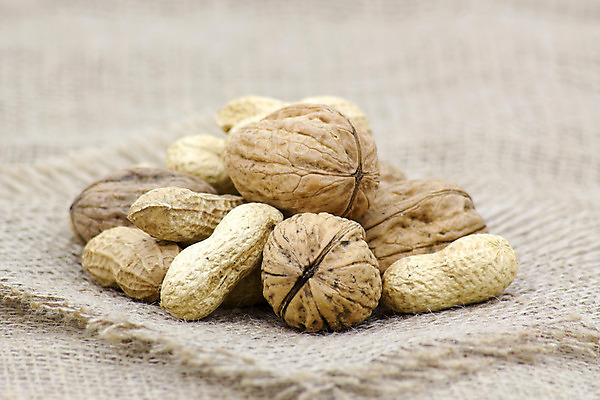 포토 JPG 해외이미지 음식 백그라운드 가방 과일 재료 자연 건강 사람없음 갈색 견과류 껍질 신선 그룹 닫기 맛 오브젝트 유기농 알맹이 땅콩 호두 자루 내추럴 숙성 식용 피칸 카피스페이스 해외202004 해외포토 웰빙 잡화 컬러 컨셉 모션 공백 생태계 파일형식 이미지허브