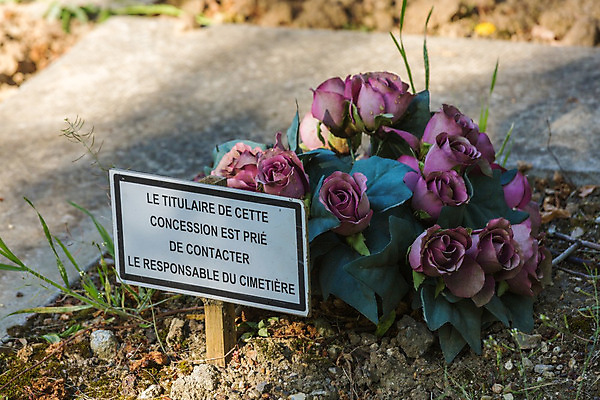 포토 JPG 해외이미지 전통 종교 오렌지 사람없음 빨간색 컬러풀 봄 가을 죽음 무덤 비석 버리기 묘사 과거 대리석 기념물 예약 천연기념물 장례 구식 장식함 추모 많음 해외202004 해외포토 계절 컬러 컨셉 과일 재료 모션 파일형식 이미지허브
