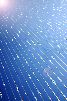 포토 JPG 해외이미지 디자인 선 벽 백그라운드 일러스트 표면 추상 오리 사람없음 물 파란색 빛 컬러풀 태양 꼬리표 라벨 페인트 줄무늬 폭포 덮개 흰색 고민 질감 캔버스 페이지 시들음 스펀지 양피지 해외202004 해외포토 자연요소 감정 컬러 무늬 자연 조류 프레임 뚜껑 파일형식 이미지허브