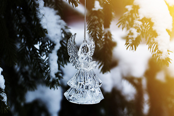 포토 JPG 해외이미지 나무 크리스마스 겨울 휴가 천사 새로움 사람없음 장식 장난감 흰색 축하 연도 엽서 전나무 해외202004 해외포토 식물 계절 기념일 컬러 컨셉 편지 파일형식 이미지허브