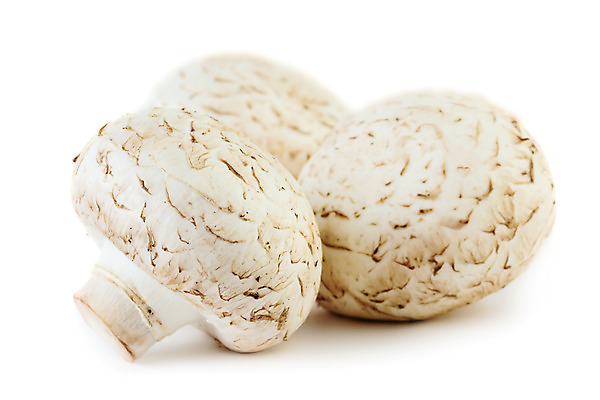 포토 JPG 해외이미지 음식 채소 건강 사람없음 버섯 흰색 신선 먹기 상쾌 유기농 날것 고립 곰팡이 채식주의자 해외202004 해외포토 웰빙 감정 컬러 모션 채식 파일형식 이미지허브