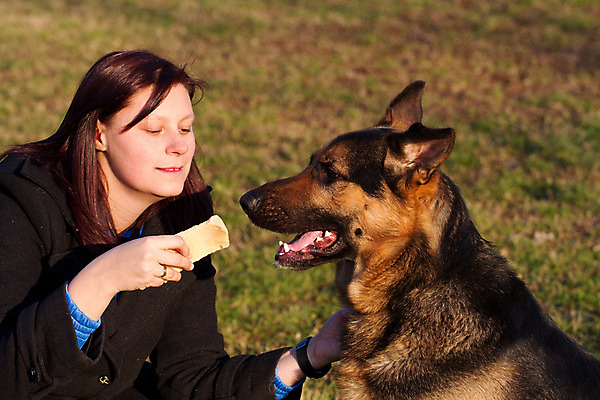 포토 JPG 해외이미지 주간 응시 공원 여자 음식 입벌림 한명 들기 상반신 성인 야외 앞모습 반려동물 개 강아지 주기 사냥개 셰퍼드 성인여자한명만 해외202004 해외포토 자연요소 동물 1 시선 공공시설 뷰포인트 포유류 모션 표정 사람 여자한명만 성인여자만 파일형식 이미지허브