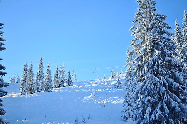 포토 JPG 해외이미지 나무 겨울 자연 하늘 산 풍경 사람없음 소나무 황무지 숲 산봉우리 우크라이나 산맥 해외202004 해외포토 식물 계절 유럽 생태계 봉우리 파일형식 이미지허브