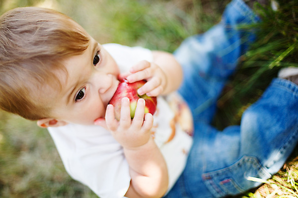 포토 JPG 해외이미지 백인 남자 어린이 음식 과일 건강 한명 앉기 소년 야외 빨간색 수확 아기 사과 과수원 먹기 해외202004 해외포토 서양인 1 컬러 농업 모션 사람 파일형식 이미지허브