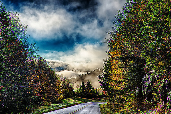 포토 JPG 해외이미지 계절 여행 오렌지 자연 아침 무선통신 날씨 산 미술 사람없음 치료 빨간색 초록색 컬러풀 맑음 놀람 운전 안개 가을 수증기 언덕 2015년 방문 뿌연 해외202004 해외포토 주간 감정 컬러 과일 통신 의학 모션 문화예술 표정 연도 생태계 파일형식 이미지허브