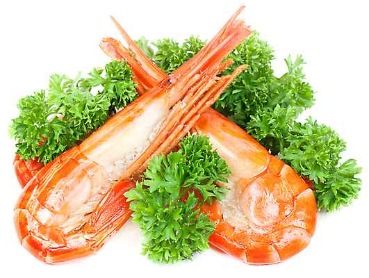 포토 JPG 해외이미지 음식 재료 새우 건강 사람없음 신선 먹기 해산물 오브젝트 준비 고립 해외202004 해외포토 모션 갑각류 파일형식 이미지허브