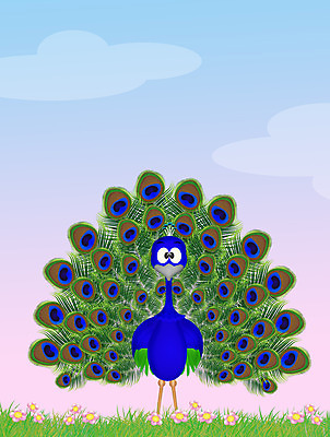 포토 JPG 해외이미지 동물 일러스트 자연 조류 사람없음 장식 초록색 파란색 컬러풀 공작 만화 깃털 꼬리 해외202004 해외포토 컬러 생태계 파일형식 이미지허브