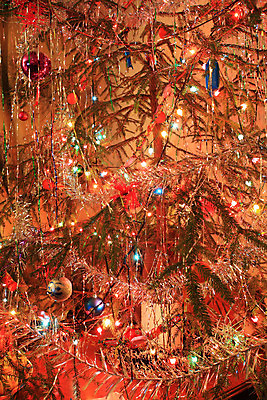 포토 JPG 해외이미지 모양 나무 전통 계절 별 백그라운드 크리스마스 겨울 부분 공 휴가 전등 기념 선물 사람없음 빨간색 초록색 파란색 빛 상자 보라색 장식볼 흰색 축하 소나무 황금 12월 리빙 빅토리아 인공 해외202004 해외포토 자연요소 식물 기념일 컬러 컨셉 조명 장식 날짜 파일형식 이미지허브