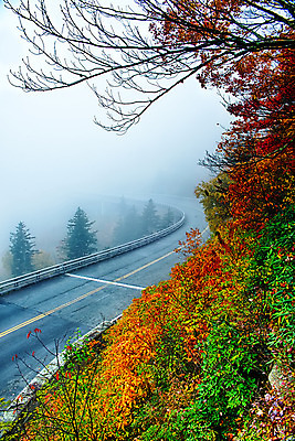 포토 JPG 해외이미지 계절 여행 오렌지 자연 아침 무선통신 날씨 산 미술 사람없음 치료 빨간색 초록색 컬러풀 맑음 놀람 운전 안개 가을 수증기 언덕 2015년 방문 뿌연 해외202004 해외포토 주간 감정 컬러 과일 통신 의학 모션 문화예술 표정 연도 생태계 파일형식 이미지허브
