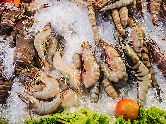 포토 JPG 해외이미지 동물 전통 음식 바다 백그라운드 재료 태국 새우 건강 갑각류 어류 요리 사람없음 강 식당 냉동 얼음 식사 저녁식사 추위 껍질 흰색 신선 그룹 시장 맛 먹기 해산물 날것 흙더미 슈퍼마켓 생식 해외202004 해외포토 자연요소 아시아 컬러 컨셉 모션 상점 수중동물 흙 파일형식 더미 이미지허브