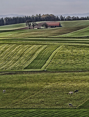 포토 JPG 해외이미지 유럽 여행 밭 자연 하늘 휴가 산 주택 풍경 사람없음 야외 여름 파란색 환경 봄 시골 오스트리아 숲 스위스 알프스 해외202004 해외포토 계절 나라 컬러 농업 건물 생태계 파일형식 이미지허브