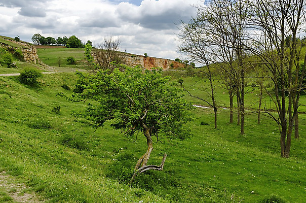 포토 JPG 해외이미지 식물 구름 백그라운드 밭 농업 자연 하늘 사람없음 야외 초록색 노란색 바위 흰색 시골 틈 균열 돌산 땅파기 불가리아 해외202004 해외포토 자연요소 산업 컬러 모션 산 돌_바위 생태계 파일형식 남유럽 이미지허브